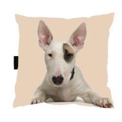  Bulterier Kutyapárna alváshoz 40x40 ajándék (PODUSZKA Z PSEM BULLTERIER do spania)