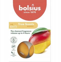 Bolsius illatos teamécsesek Mango illattal, 4 órás égési idő, 6 darabos True Scents kiszerelés (8717847151476)