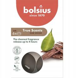 Bolsius Oud Wood illatos teamécsesek, 4 órás, 6 darabos True Scents kiszerelés (8717847137401)