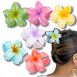 EdiBazzar 6 darabos virágos hajcsat szett, nyári stílusú frangipáni virágokkal, 8 cm-es, színes (Zestaw 6 Szt SPINKA Do Włosów W Stylu Wakacji)