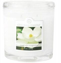 Colonial Candle Illatgyertya Magnolia Colonial Candle 226 g (048019625869)