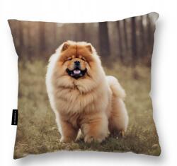  Chow Chow Kutyapárna 40x40 Ajándék puha nagy alvó Dekoratív (Poduszka z psem CHOW CHOW miękka duża)