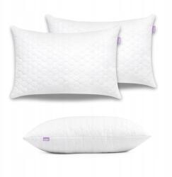  Jukki 2 Db 40X60 Cm-es Antiallergén Párna, Mikroszálas, Vastag, Álomhozó (5904506834082)