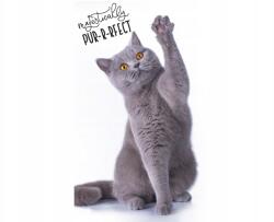 Carbotex Gyermek törölköző 30/50 cm Cat, TNL191342 (TNL191342)