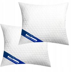 Strefa Spania Párnák 50x70 cm 2 Db Steppelt Antiallergén Cipzáras, Oeko-Tex (srpodcla2x50x70)