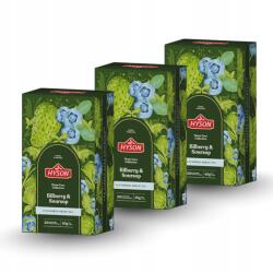 Hyson Áfonya & Szórszop 40g (20 filteres tasak, zöld tea) (H013012)