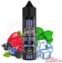 The Vaping Giant Lichid Blue Berry Mix The Vaping Giant 30ml (6427616898861) Lichid rezerva tigara electronica