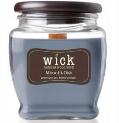 Colonial Candle Szójaviasz illatgyertya Moonlit Oak Wick 425 g (665098538820)