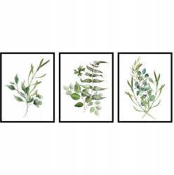Triptichon poszter szett virágok levelek növények grafika botanika 3x- 21x30cm (rośliny zielone liście tryptyk botanika)