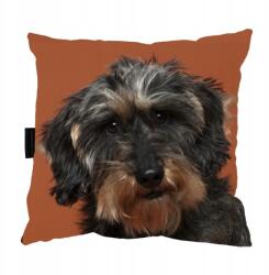  Tacskó mintás párna, ajándéknak is tökéletes! (jamnik2)