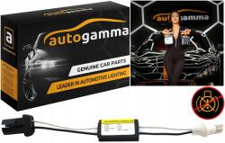 Auto Gamma Ellenállás dekóder Led izzókhoz Canbus W5W T10 helyzetjelző lámpákhoz