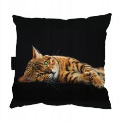  Bengáli Macska Párna 40x40 Ajándék (PODUSZKA Z KOTEM BENGALSKIM do spania)