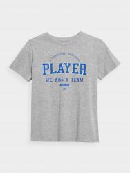 4F Fiú póló, szürke, kék mintával, 122 cm-es méret (HJL22-JTSM007-27M-122)