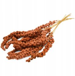 JR Farm Jr Birds Vörös kínai köles 250 g (02056)