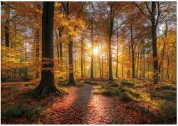 Wallarena Fotótapéta Sárga Erdő Természet Tapéta Előszoba Nappali Iroda 150x105 (FOTOTAPETA ŚCIENNA 16113VX3)