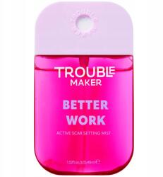 Trouble Maker Smink fixáló spray problémás bőrre Trouble Maker Better Work 45ml (TM009600)