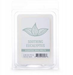 Colonial Candle Szójaviasz illatgyertya kockák Eukaliptusz 70 g (665098606963)