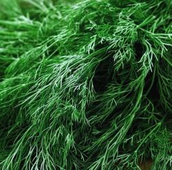  Rohoznicei Farm Friss Kapor Olaszország 100 g