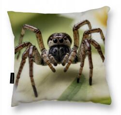  Pók Párna Pók Madár 40x40 ideális Ajándék alváshoz nagy (Poduszka z pająkiem PAJĄK duża miękka)