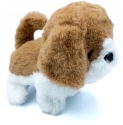  Sétáló, ugató kutyus pórázon Kutyus, kutya, kisállat (6900087041535)