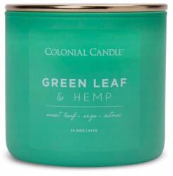 Colonial Candle Szója illatgyertya Kender Colonial Candle (665098516668)