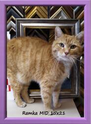 Marek & Darek Klasszikus képkeret falra és asztalra, 15x21 cm (5904996595678)