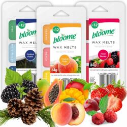 Bloome Illatviasz Illatviaszok Illatpárologtatóba, Aromalámpába, Frissítő az Otthonába 36 (wosk zapachowy mix)