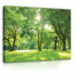 Wallarena Erdő Kép Zöld Fák Vásznon Nappaliba Hálószobába Modern 100x70 (Obraz Na Ścianę Do Sypialni PP14529O1)