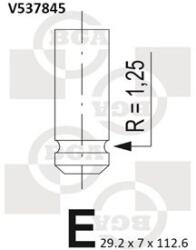 BGA Zawor Wydechowy (v537845)