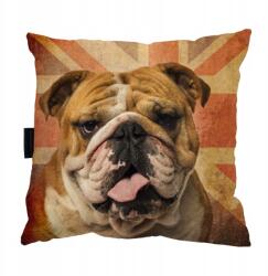  Kutyapárna Angol Bulldog Alvás Ajándék