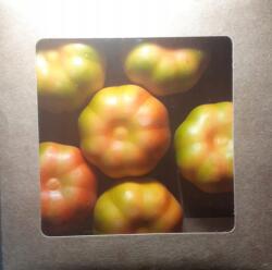 Home Accents 33. Dekorációs Tökök Őszi Nádakhoz 6 db Habszivacs (3206368)