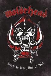 Grupoerik Motorhead Born To Lose Live To Win poszter