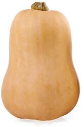  Farma z Rohoznice Sütőtök Butternut 1 db