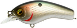Raid SKM SUPER KOSOC MACHINE 60mm 10.5gr 006 Pearl TFS