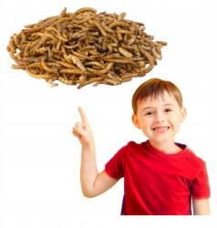  Szárított Lisztbogarak Rovarok Élelem Madaraknak Halaknak Rágcsálóknak Sünöknek Csemege 0, 5kg