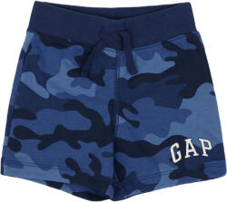 GAP Logo (840846-00)