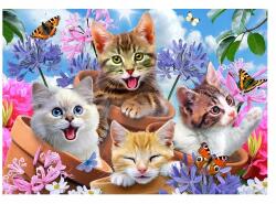 Wallarena Falmatrica Lány Szobába Cicák Macskák Fotótapéta Lányoknak 312x219 (TAPETA DLA DZIEWCZYNKI CA12876VEXXL)