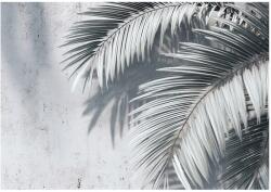 Wallarena Fotótapéta Pálma Levelek Beton Hálószoba Nappali Tapéta Vlies 250x175 (FOTOTAPETA NA FLIZELINIE 16128VX5)