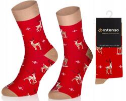 Intenso Színes Karácsonyi Zokni Rénszarvas Alatt Karácsonyfa Norvég Intenso 44-46