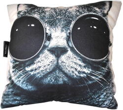  Turbó macska párna macska szemüveggel (turbo1)