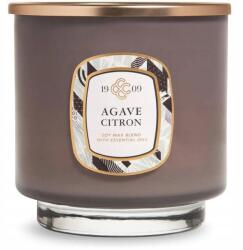 Colonial Candle Elegáns illatgyertya szójából, ajándékba, agávé és citrus illattal Colonial Candle (665098528425)