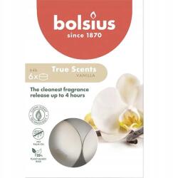 Bolsius illatos teamécsesek, vanília illatú, 4 órás égési idő, 6 darabos kiszerelés, True Scents (8717847137302)