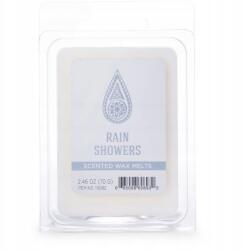 Colonial Candle Szójaviasz illatgyertya kockák párologtatóba Rain Showers Colonial Candle (665098606932)