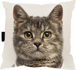  Szürke macskapárna, ajándéknak is tökéletes! (kot1)