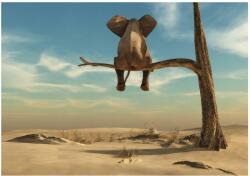 Wallarena Gyerekszoba Tapéta Elefánt A Fán Fotótapéta Gyerekeknek 368x254 (FOTOTAPETA DLA DZIECI CA11898V8)