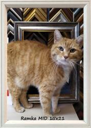 Marek & Darek Kész Keret Állításhoz Vagy Akasztáshoz 15X21 Delta Fehér Fa (5904996594985)