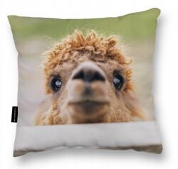  Láma Párna Láma 40x40 alváshoz Ajándék dekoratív kétoldalas (PODUSZKA KOTEM kotek maluszek DO SPANIA)