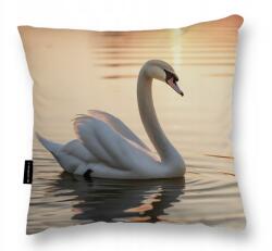  Hattyú Párna 40x40 alváshoz ajándék hattyú dekoráció kanapéra (Poduszka z ŁABĘDZIEM 40x40 miękka)