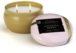 Candle Lite Illatgyertya dobozban, 2 kanócos, Málna Rózsa illat, 177g (076001389451)