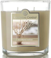 Colonial Candle Colonial Wierzba szójaviasz illatgyertya, 2 kanócos (665098500728)